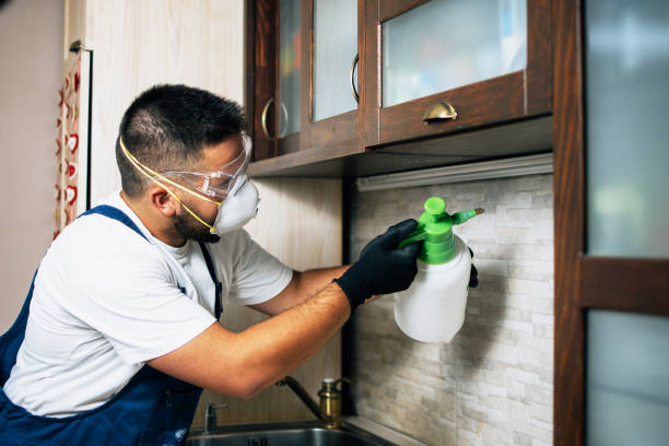 Best Pest Inspection Near Me  in North Webster, IN