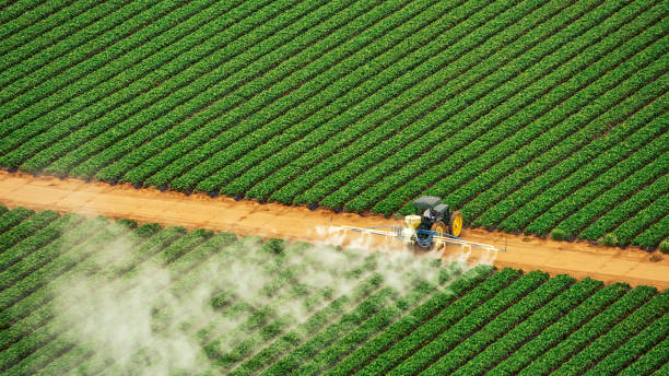 Best Termite Control Services  in North Webster, IN